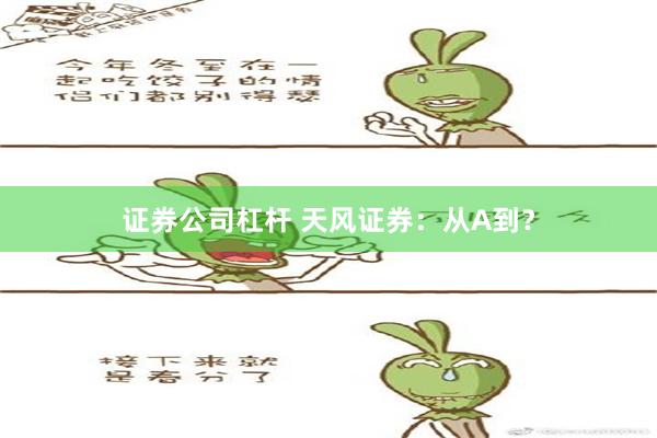 证券公司杠杆 天风证券：从A到？