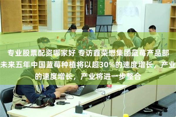 专业股票配资哪家好 专访鑫荣懋集团蓝莓产品部总监耿亚雄：未来五年中国蓝莓种植将以超30%的速度增长，产业将进一步整合