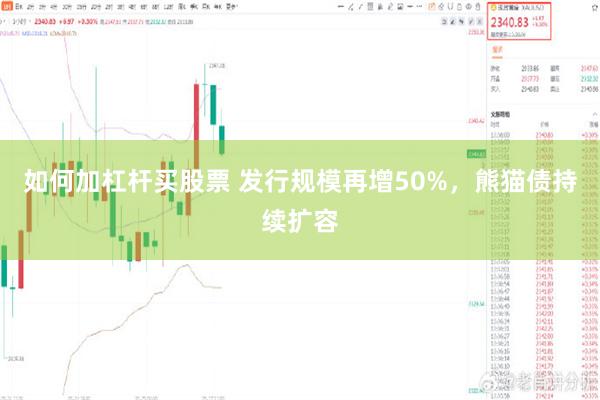 如何加杠杆买股票 发行规模再增50%，熊猫债持续扩容