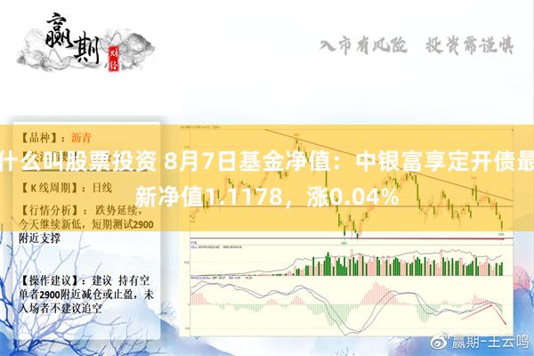 什么叫股票投资 8月7日基金净值：中银富享定开债最新净值1.1178，涨0.04%