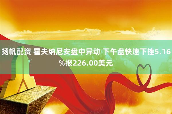 扬帆配资 霍夫纳尼安盘中异动 下午盘快速下挫5.16%报226.00美元