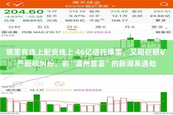 哪里有线上配资线上 46亿信托爆雷，又陷巨额矿产股权纠纷，前“温州首富”的新湖系遇劫