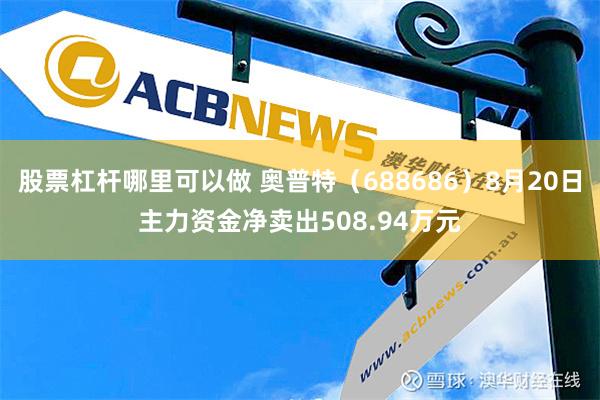 股票杠杆哪里可以做 奥普特（688686）8月20日主力资金净卖出508.94万元