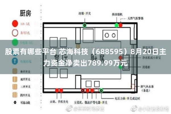 股票有哪些平台 芯海科技（688595）8月20日主力资金净卖出789.99万元