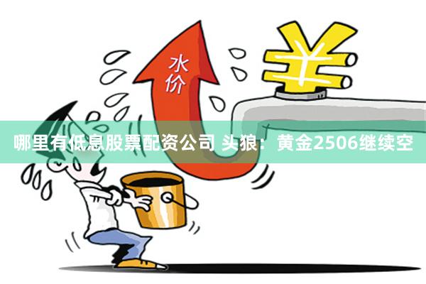 哪里有低息股票配资公司 头狼：黄金2506继续空