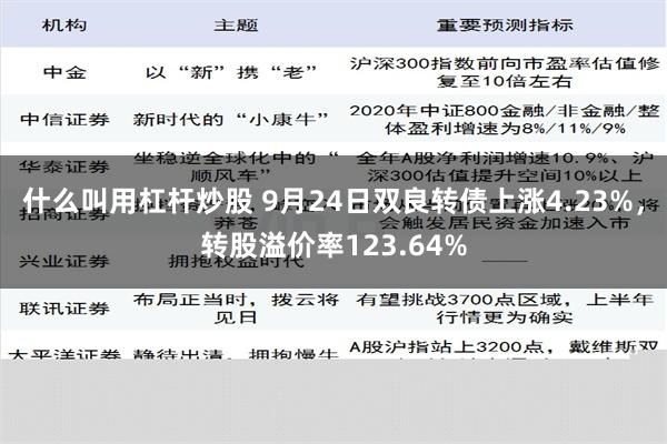 什么叫用杠杆炒股 9月24日双良转债上涨4.23%，转股溢价率123.64%