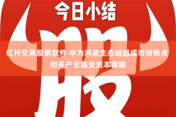 杠杆交易股票软件 华为鸿蒙生态崛起成市场焦点 相关产业链受资本青睐