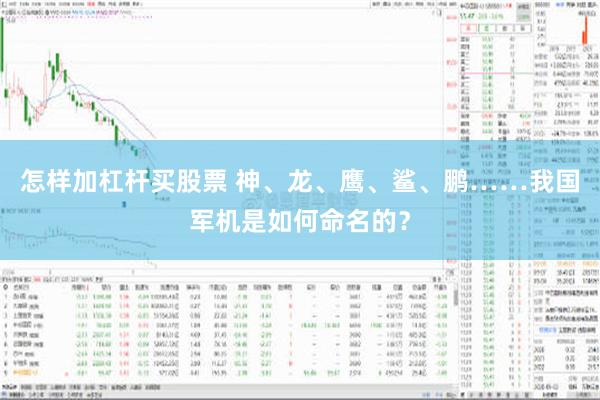 怎样加杠杆买股票 神、龙、鹰、鲨、鹏……我国军机是如何命名的？