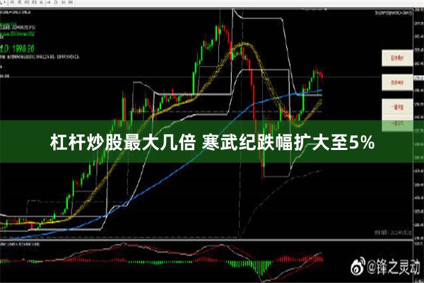 杠杆炒股最大几倍 寒武纪跌幅扩大至5%